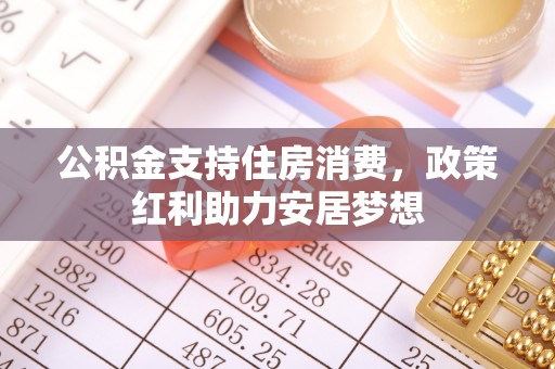 爱辉公积金支持住房消费，政策红利助力安居梦想