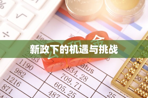 爱辉新政下的机遇与挑战