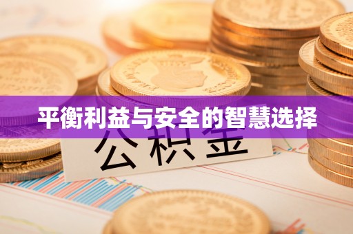 爱辉平衡利益与安全的智慧选择