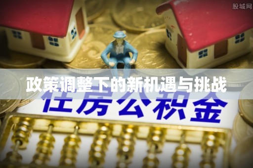 爱辉政策调整下的新机遇与挑战