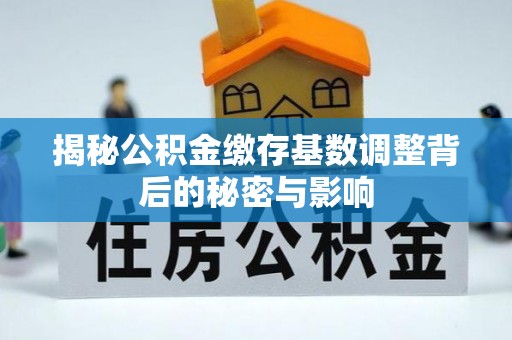 爱辉揭秘公积金缴存基数调整背后的秘密与影响