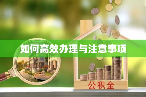 爱辉如何高效办理与注意事项