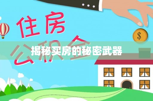 爱辉揭秘买房的秘密武器