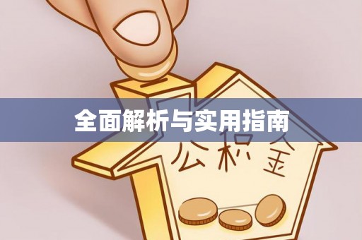 爱辉全面解析与实用指南