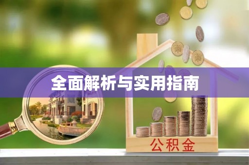 爱辉全面解析与实用指南