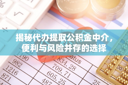 爱辉揭秘代办提取公积金中介，便利与风险并存的选择