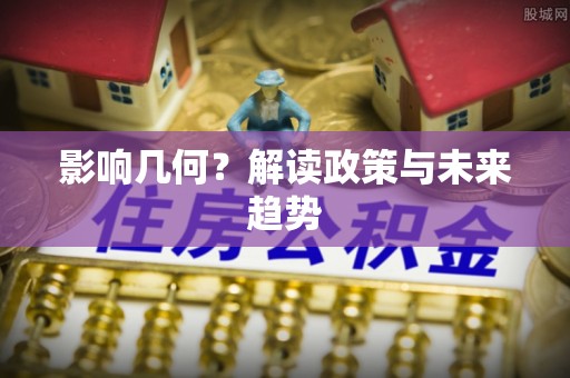 爱辉影响几何？解读政策与未来趋势