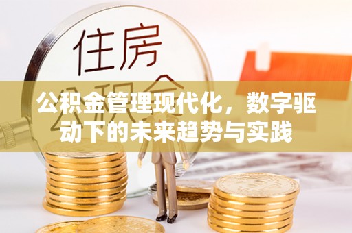 爱辉公积金管理现代化，数字驱动下的未来趋势与实践