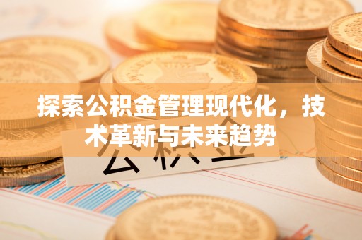 爱辉探索公积金管理现代化，技术革新与未来趋势