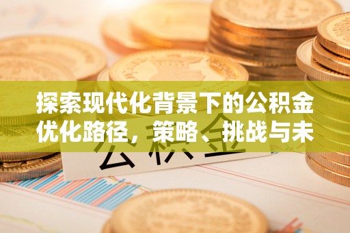 爱辉探索现代化背景下的公积金优化路径，策略、挑战与未来展望