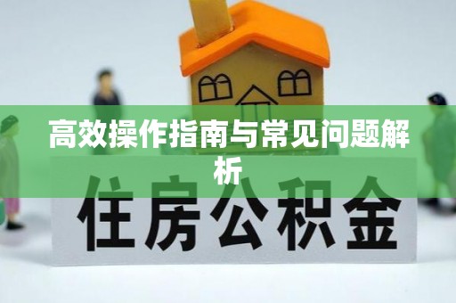 爱辉高效操作指南与常见问题解析