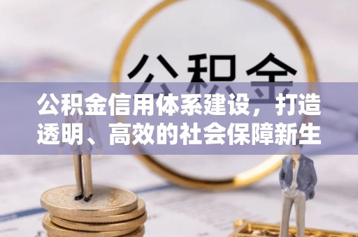 爱辉公积金信用体系建设，打造透明、高效的社会保障新生态