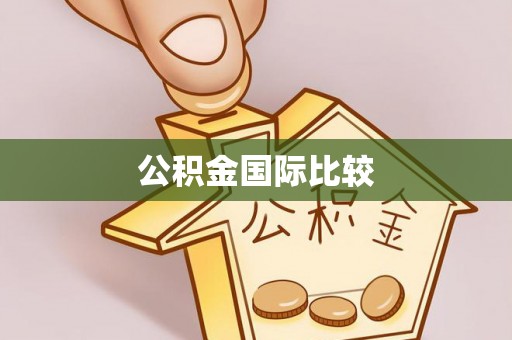 爱辉公积金国际比较