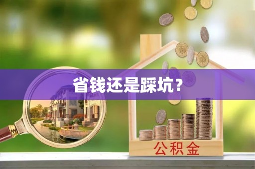 爱辉省钱还是踩坑？