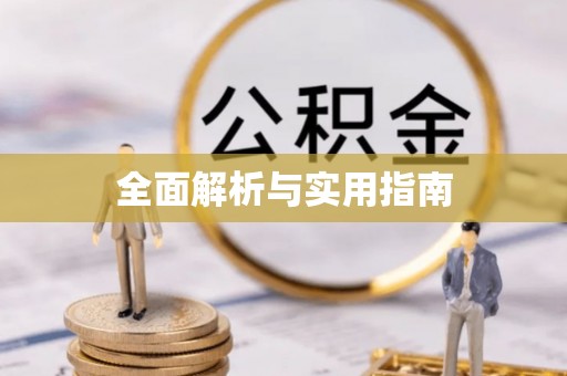 爱辉全面解析与实用指南