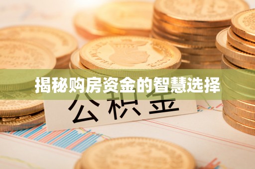 爱辉揭秘购房资金的智慧选择