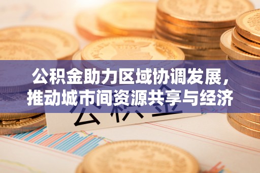 爱辉公积金助力区域协调发展，推动城市间资源共享与经济均衡发展