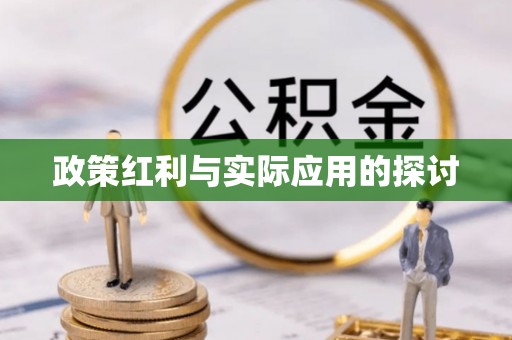爱辉政策红利与实际应用的探讨