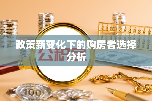 爱辉政策新变化下的购房者选择分析