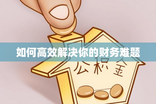 爱辉如何高效解决你的财务难题