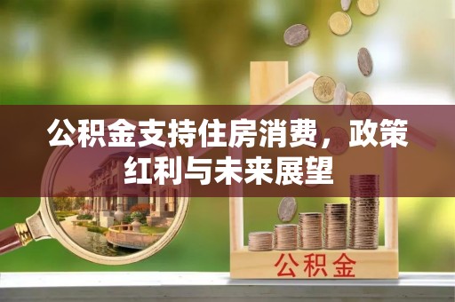 爱辉公积金支持住房消费，政策红利与未来展望
