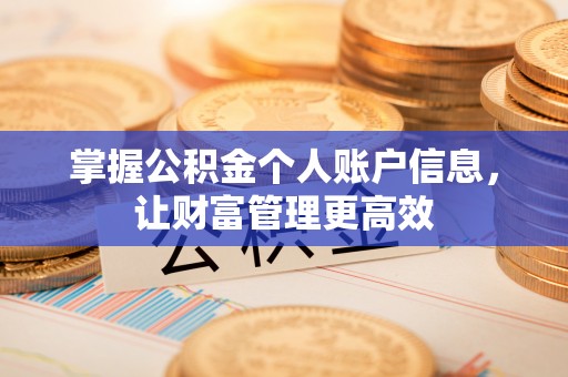 爱辉掌握公积金个人账户信息，让财富管理更高效