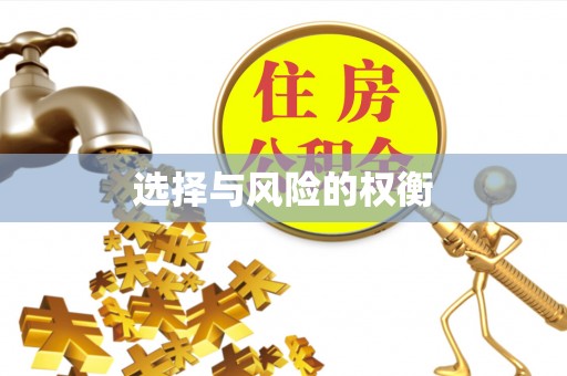 爱辉选择与风险的权衡