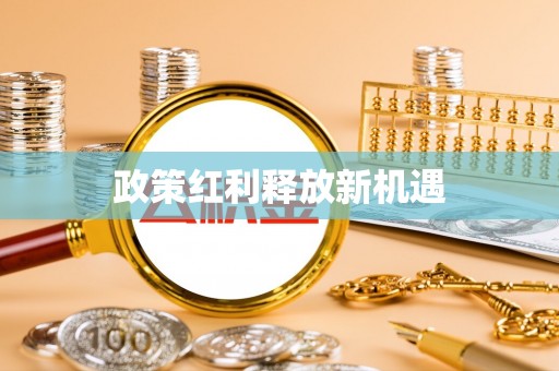 爱辉政策红利释放新机遇
