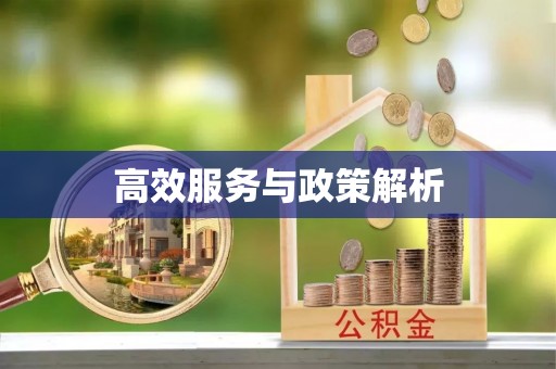 爱辉高效服务与政策解析