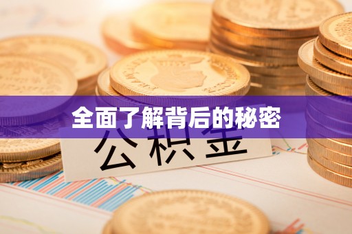 爱辉全面了解背后的秘密