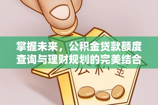 爱辉掌握未来，公积金贷款额度查询与理财规划的完美结合