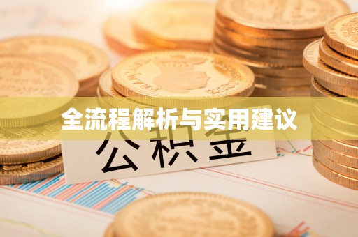 爱辉全流程解析与实用建议
