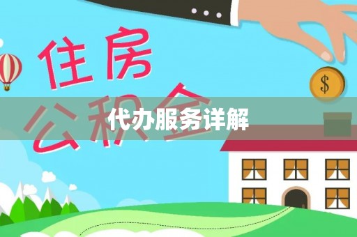 爱辉代办服务详解