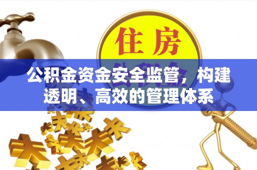 爱辉公积金资金安全监管，构建透明、高效的管理体系