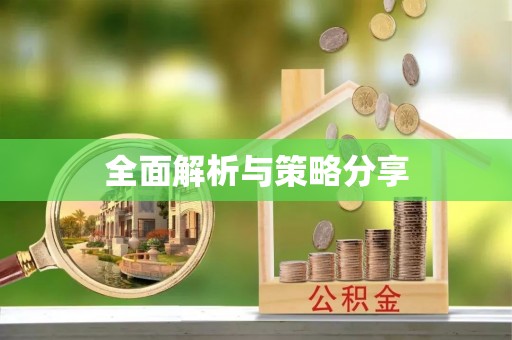 爱辉全面解析与策略分享