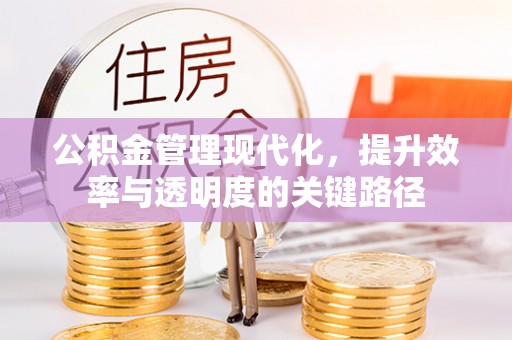 爱辉公积金管理现代化，提升效率与透明度的关键路径