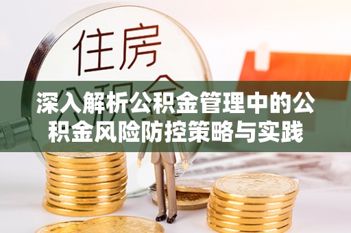 爱辉深入解析公积金管理中的公积金风险防控策略与实践