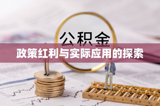 爱辉政策红利与实际应用的探索