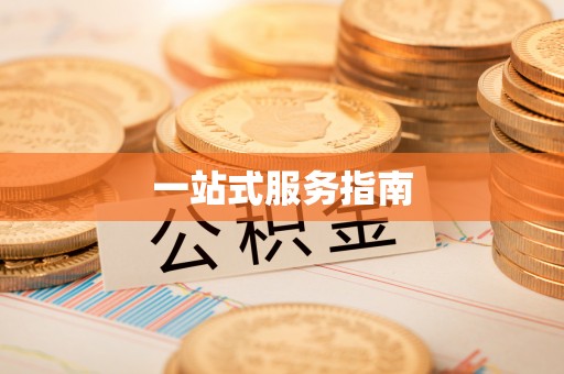 爱辉一站式服务指南