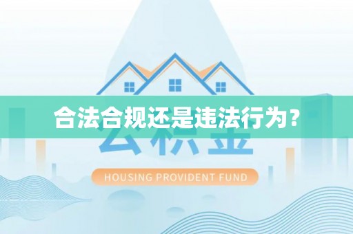 爱辉合法合规还是违法行为？
