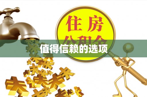 爱辉值得信赖的选项