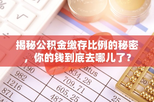 爱辉揭秘公积金缴存比例的秘密，你的钱到底去哪儿了？