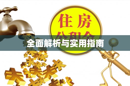爱辉全面解析与实用指南