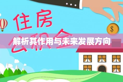 爱辉解析其作用与未来发展方向