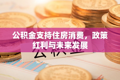 爱辉公积金支持住房消费，政策红利与未来发展
