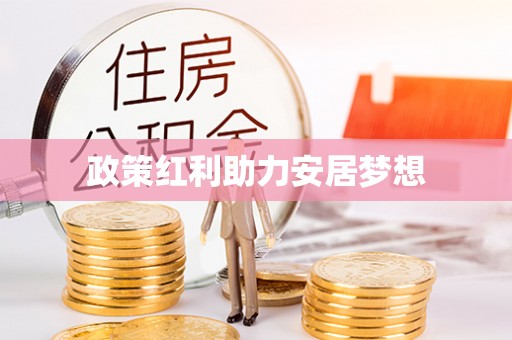 爱辉政策红利助力安居梦想