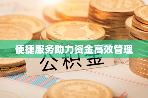 爱辉便捷服务助力资金高效管理