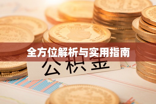 爱辉全方位解析与实用指南