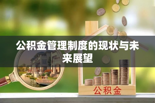 爱辉公积金管理制度的现状与未来展望