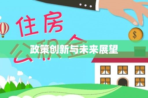 爱辉政策创新与未来展望